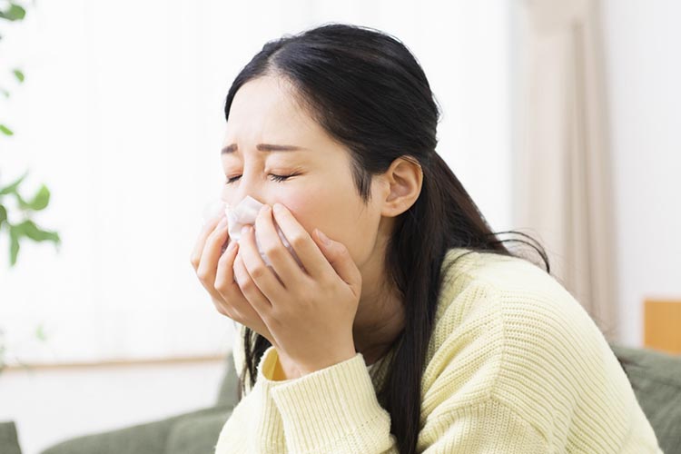 はなのイメージ画像